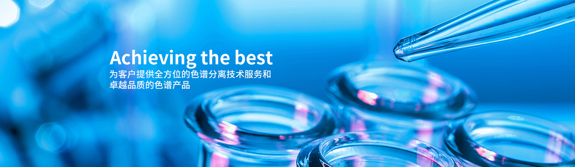 公司新闻
